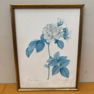 Prints "Ziedi"