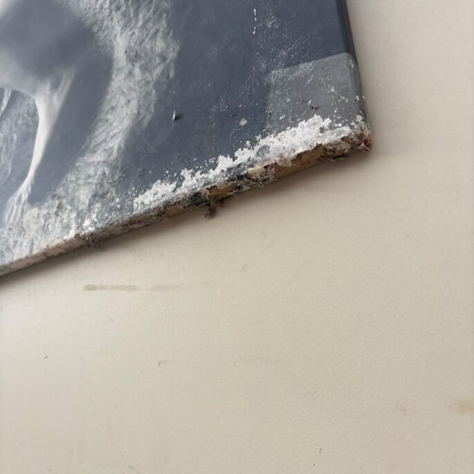 Prints (prece uz pasūtījumu)