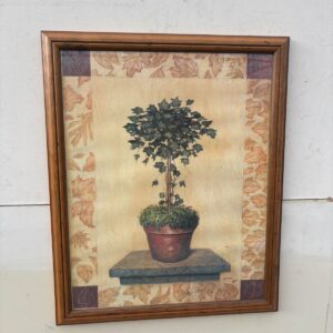 Prints "Efejas kociņš" (prece uz pasūtījumu)